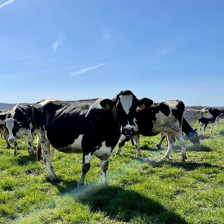Chambre A La Ferme Precy-le-Sec Buitenkant foto